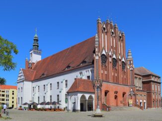 Het gotische stadhuis van Frankfurt (Oder) met zijn opvallende rode baksteenfaçade en toren, gezien op een zonnige dag.