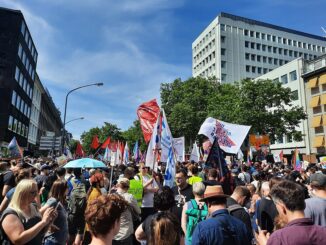 Demonstranten tijdens een protest tegen het AfD-partijcongres in Essen op 29 juni 2024.
