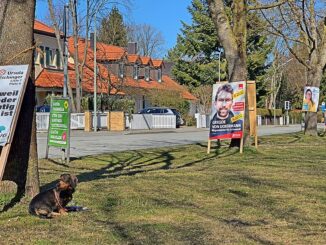 Verkiezingsposters langs een straat tijdens de lokale verkiezingen in Beieren