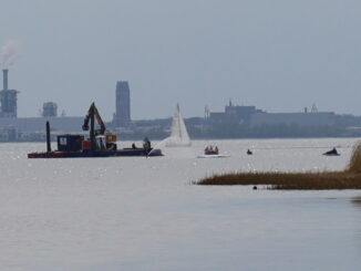Reddingsactie voor zieke bultrug Timmy bij eiland Poel in Duitsland met boten en werkplatform