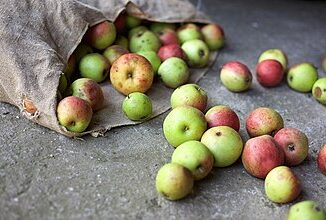 Biologische appels in Duitsland als symbool voor groeiende vraag naar bio-voeding