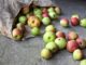 Biologische appels in Duitsland als symbool voor groeiende vraag naar bio-voeding