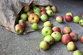 Biologische appels in Duitsland als symbool voor groeiende vraag naar bio-voeding