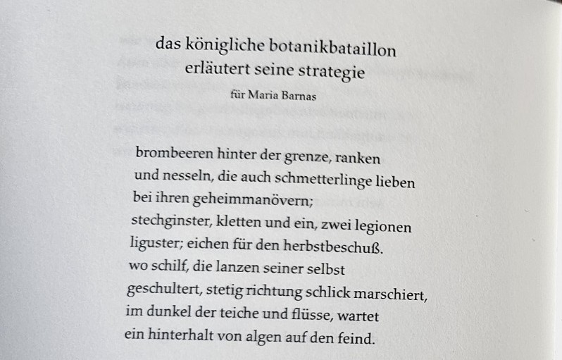 Pagina uit de bundel Steine & Erden van Jan Wagner met het gedicht das königliche botanikbataillon erläutert seine strategie, opgedragen aan Maria Barnas.